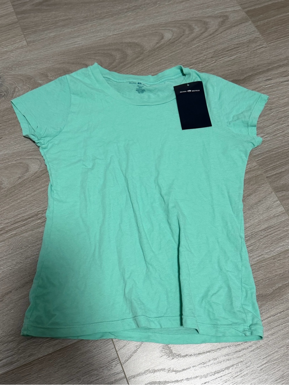 Brandy Melville Classic Crewneck Tee - Teal